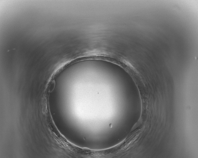 X0000054421358200508051755