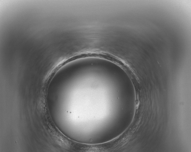 X0000054421359200508051755