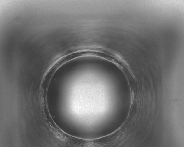 X0000054421360200508051755