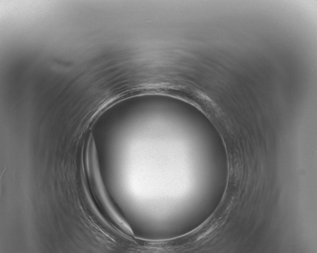 X0000054421361200508051755