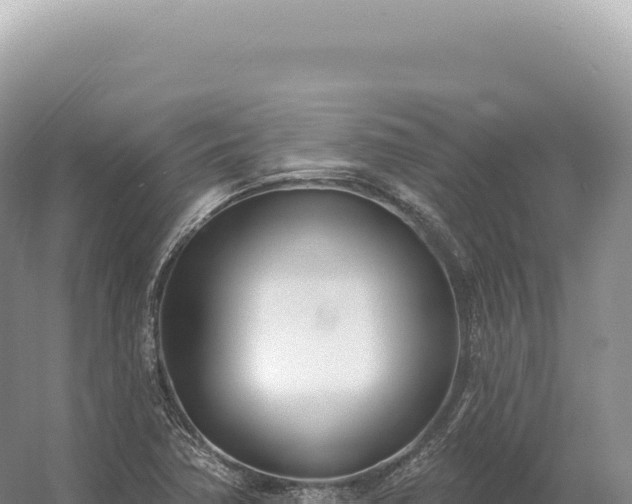 X0000054421362200508051755