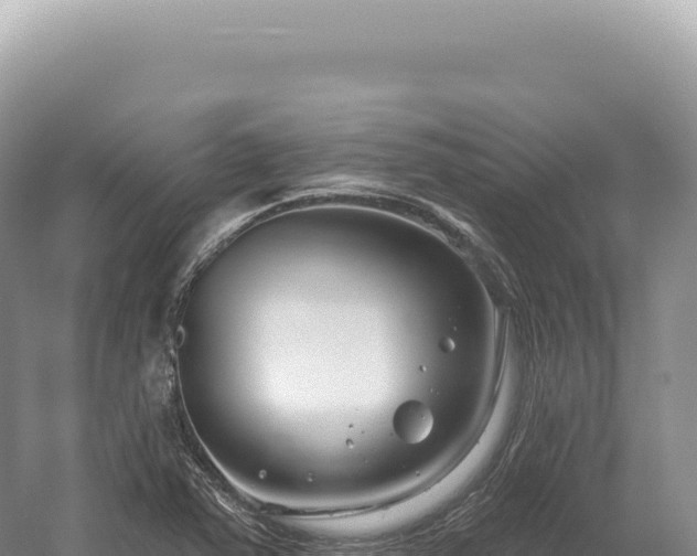 X0000054421363200508051755