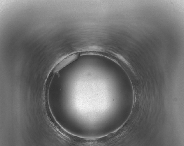 X0000054421364200508051755