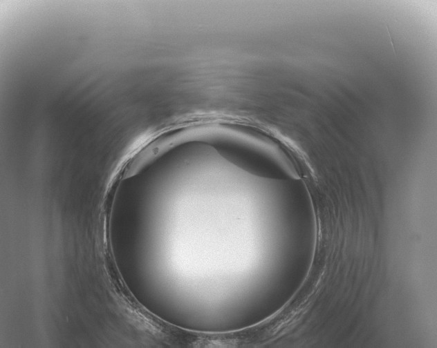 X0000054421365200508051755