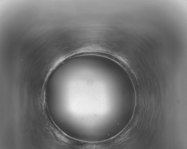 X0000054421366200508051755