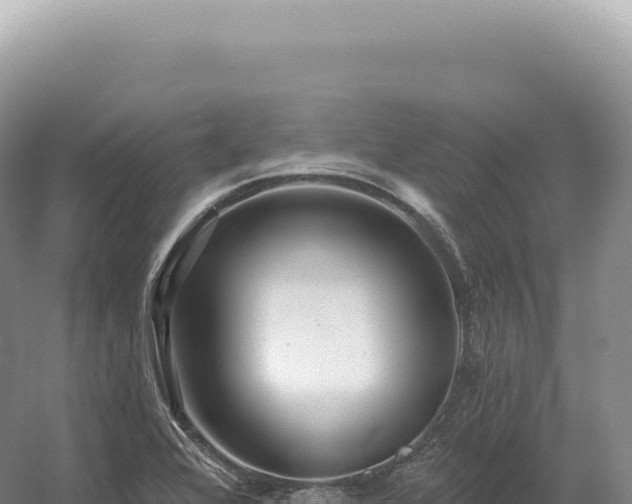 X0000054421368200508051755