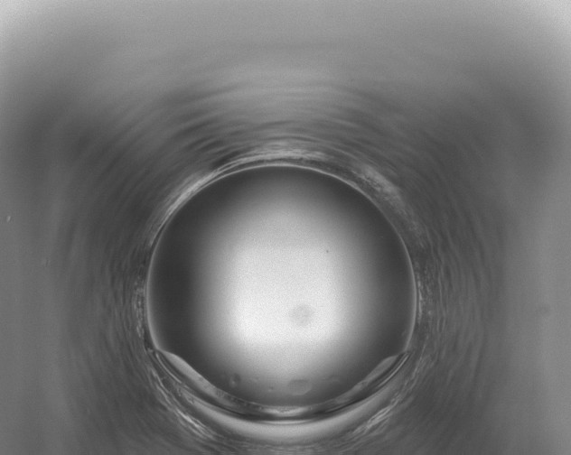 X0000054421369200508051755