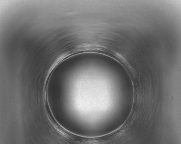 X0000054421370200508051755