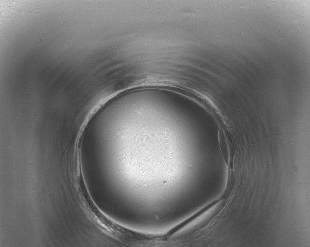 X0000054421371200508051755