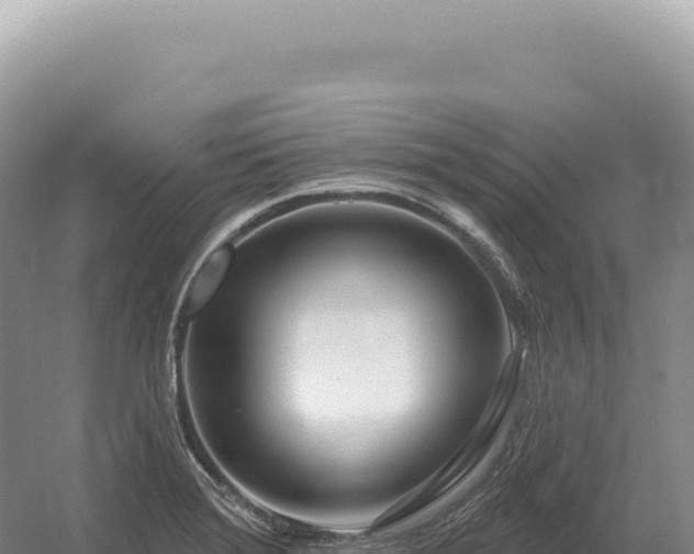 X0000054421372200508051755