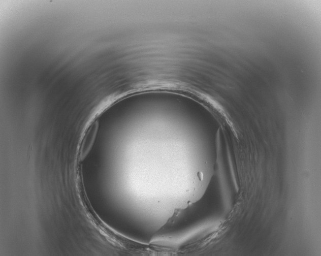 X0000054421373200508051755