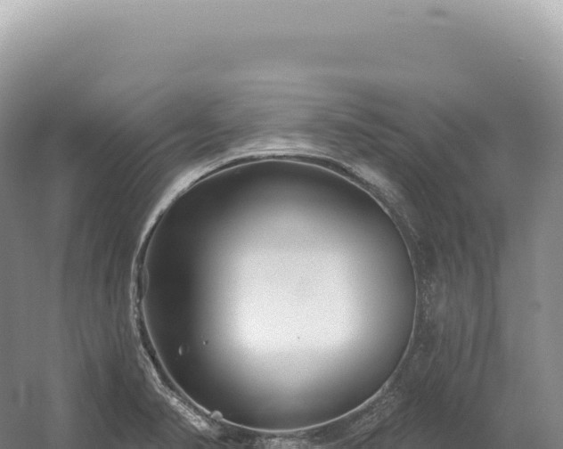 X0000054421374200508051754