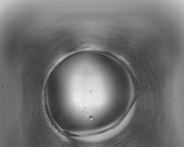 X0000054421375200508051754