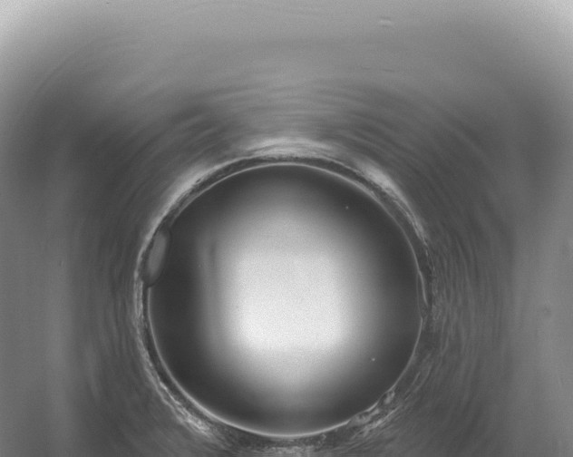 X0000054421376200508051754