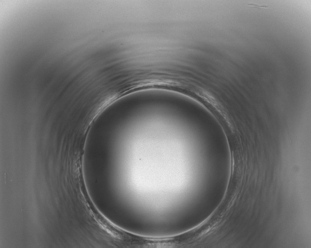 X0000054421377200508051754