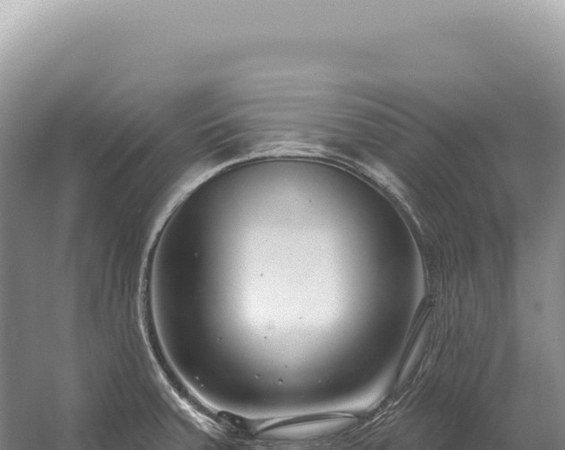 X0000054421379200508051754