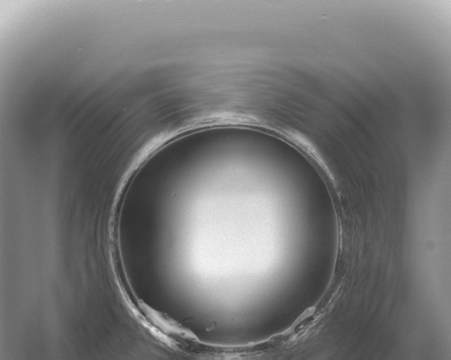 X0000054421381200508051754