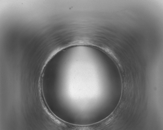 X0000054421382200508051754