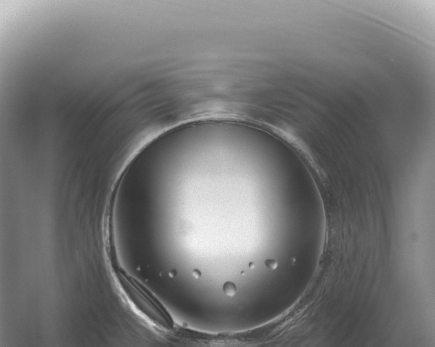 X0000054421383200508051754