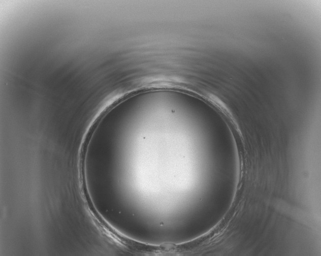 X0000054421384200508051754