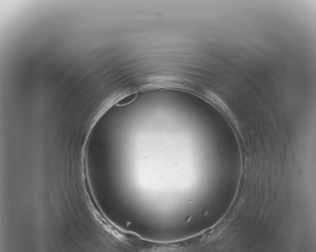 X0000054421386200508051754