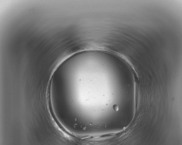 X0000054421387200508051754