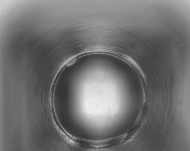 X0000054421388200508051754