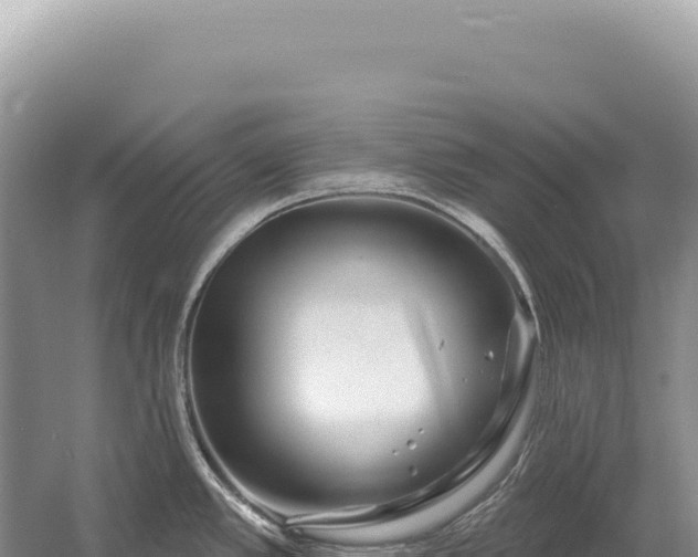 X0000054421389200508051754