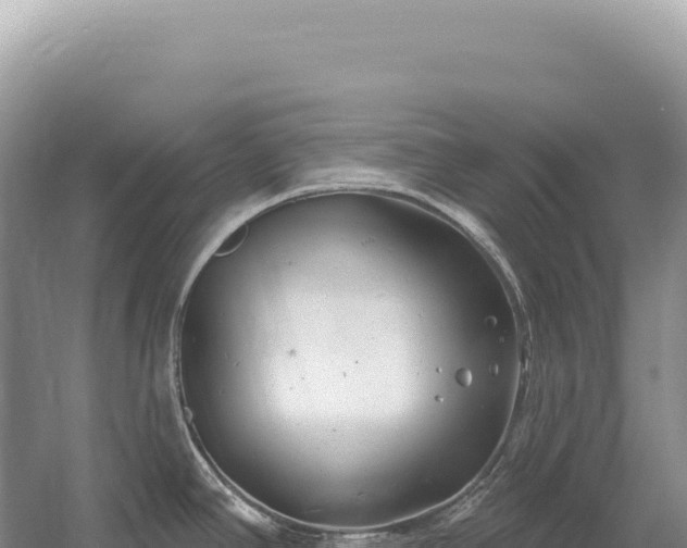 X0000054421390200508051754