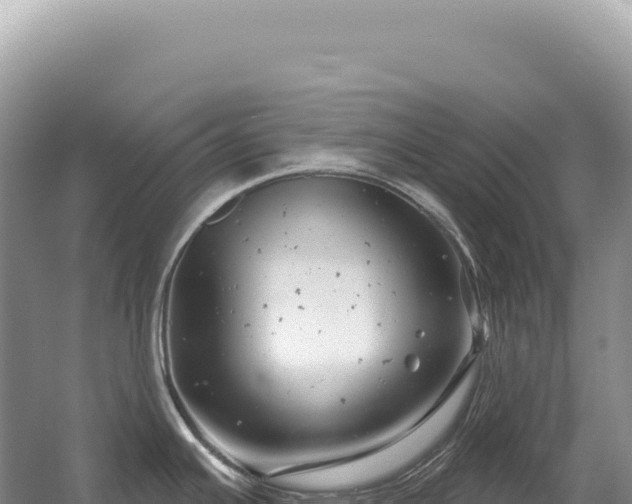 X0000054421391200508051754