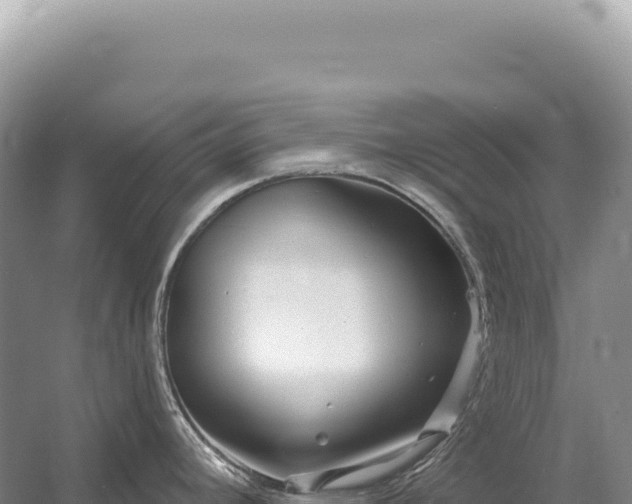 X0000054421392200508051754