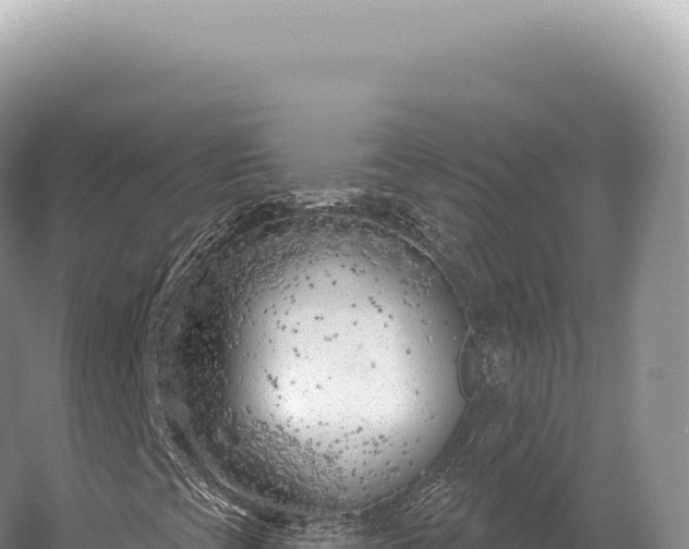 X0000054421393200508051753