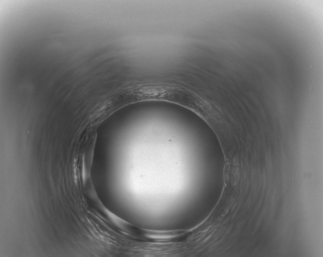 X0000054421394200508051753