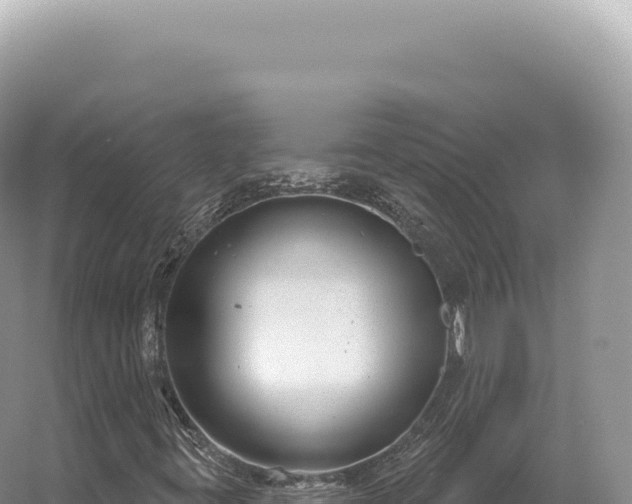 X0000054421395200508051753