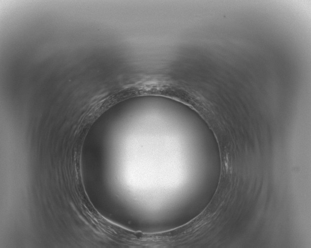 X0000054421396200508051753