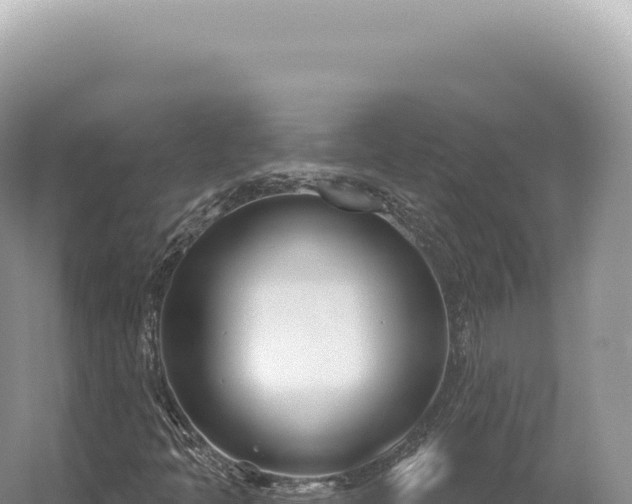 X0000054421397200508051753