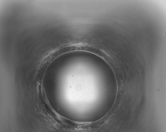 X0000054421398200508051753