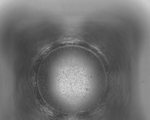 X0000054421399200508051753