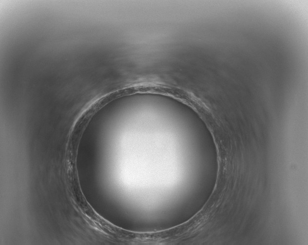 X0000054421400200508051754