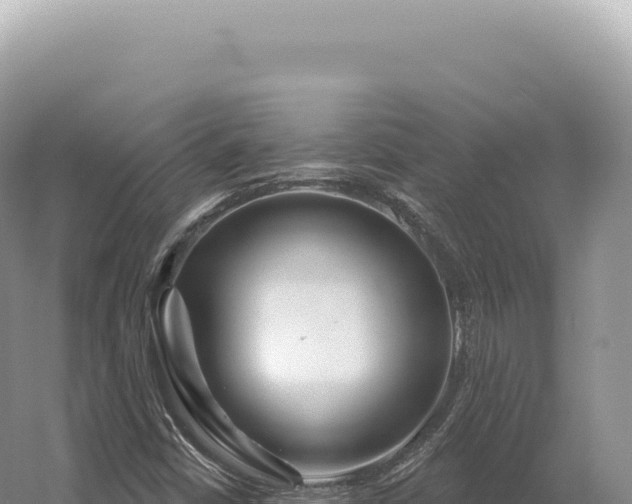 X0000054421402200508051754