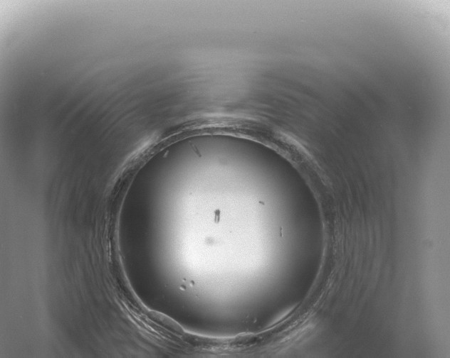 X0000054421403200508051754