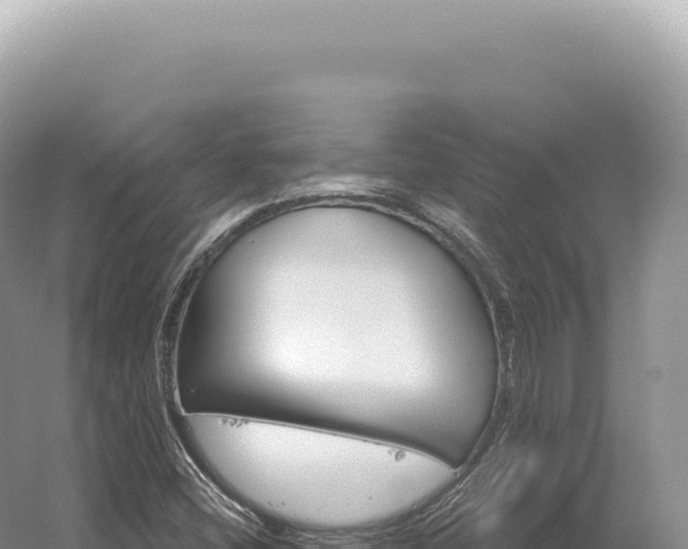 X0000054421404200508051754