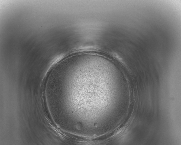 X0000054421405200508051754