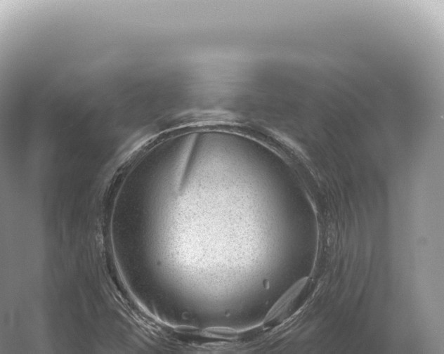 X0000054421407200508051754