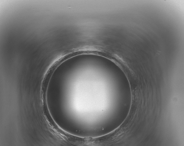 X0000054421408200508051754