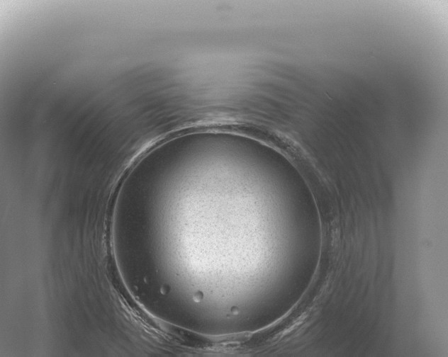 X0000054421409200508051754