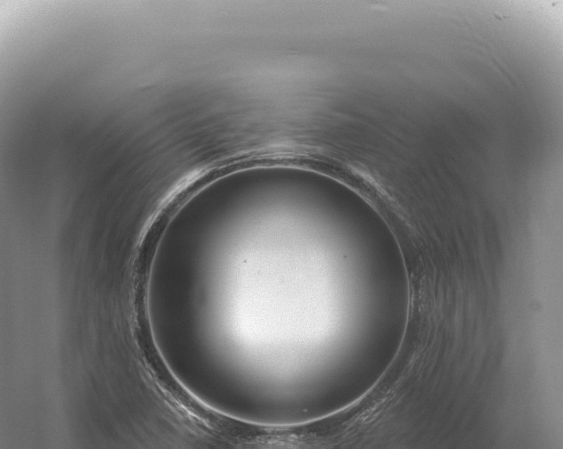 X0000054421410200508051754