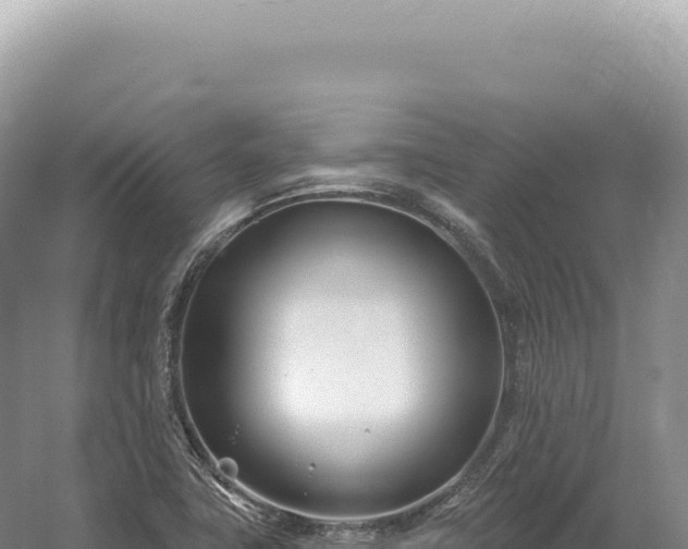 X0000054421411200508051754