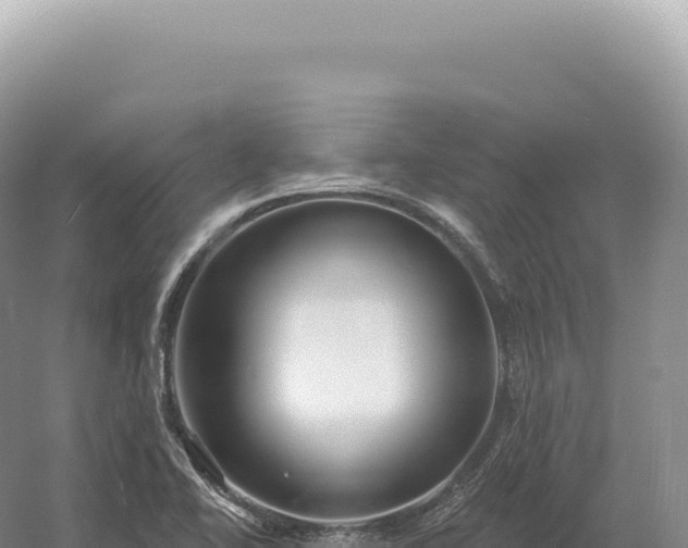 X0000054421414200508051754