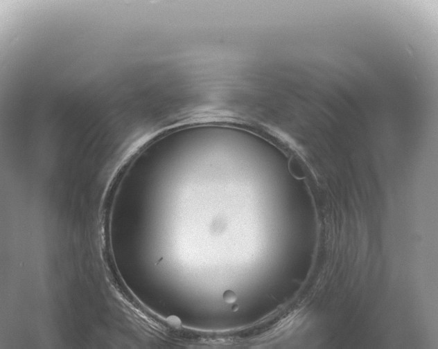 X0000054421415200508051754